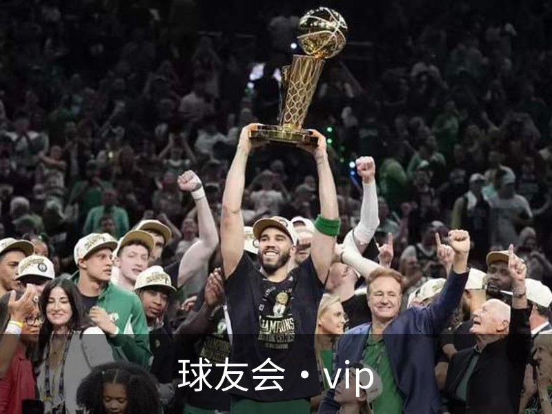 球友会·vip概况